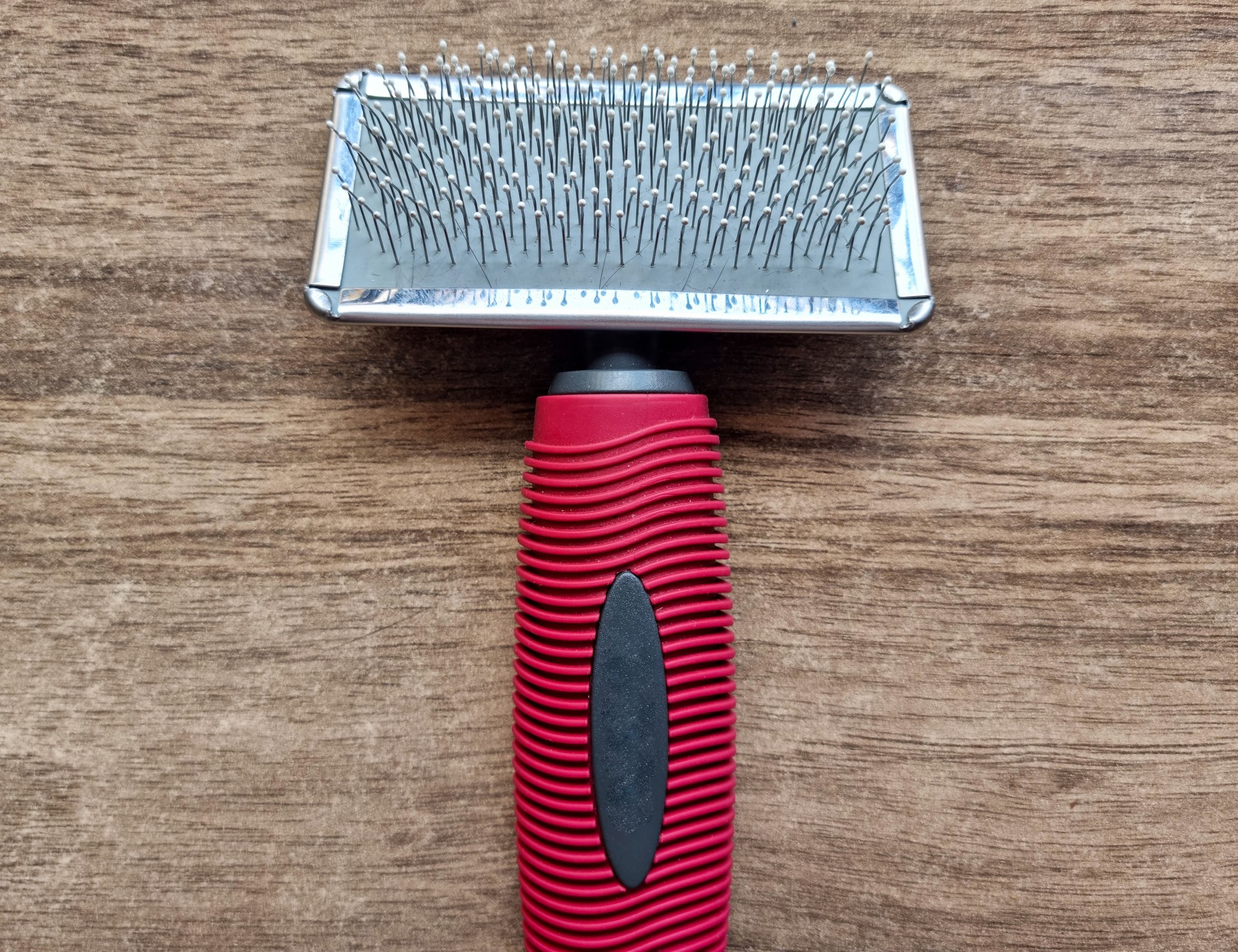 Animal Brush on wooden